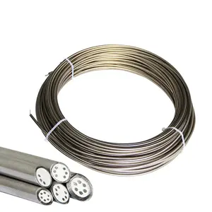 Fabrik-direkt 2/4/3 Kerne Mineral-Isolikatkabel MI-Kabel für Typ K/N/E/J/T Thermokopel SS304/SS316/Inconel600