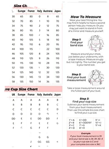 <span class=keywords><strong>Reggiseno</strong></span> in Nylon di grandi dimensioni senza spugna Sexy in pizzo trasparente traspirante modello solido <span class=keywords><strong>reggiseno</strong></span> di pizzo imbottito - Product Image 6