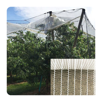 L'usine fournit directement le filet de protection contre la grêle HDPE 6m * 50m à faible coût pour la protection des raisins et des cultures
