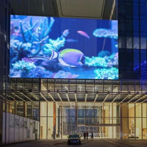 Vente directe usine – Écran LED flexible à <span class=keywords><strong>film</strong></span> transparent avec <span class=keywords><strong>animation</strong></span> SDK pour aéroports, centres commerciaux et salles d'exposition – Média vidéo - Product Image 4