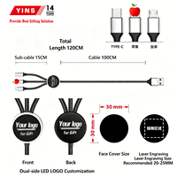 Elegante Recuerdo de Boda, Cable de Carga 3 en 1 Tipo-C con Nombre Personalizado y Logotipo Luminoso para Computadora, Recuerdo de Fiesta Privada