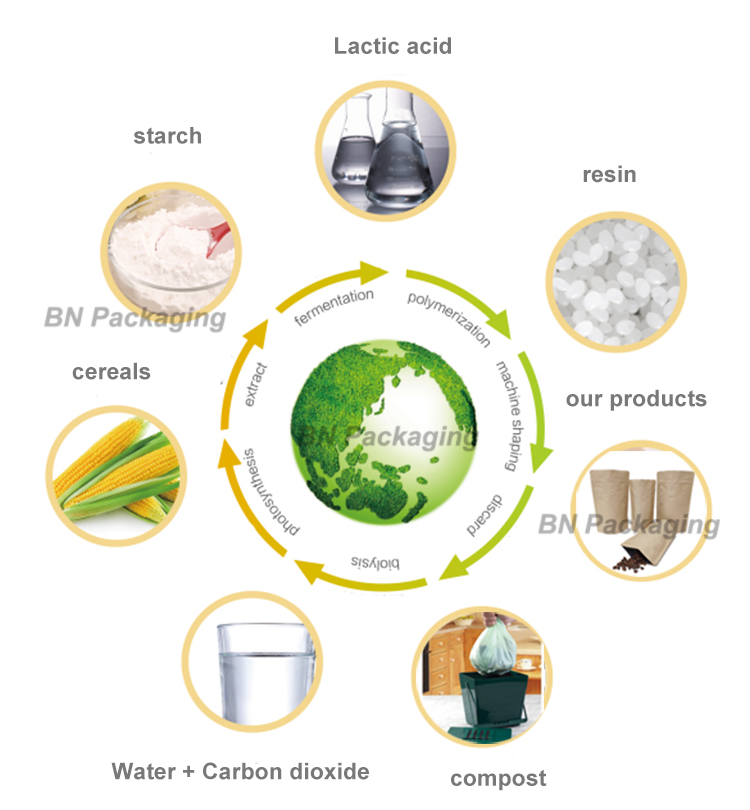 New Material 100% Recyclable Stand Up Bag Type Meet EU Standard Pouch For Food