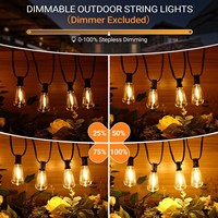 Guirlandes lumineuses de camping ST38 pour la vente transfrontalière, étanches IP44, avec détection de mouvement, alimentées par USB, ampoules LED intelligentes pour arbres