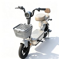 Vélo électrique miniature Smpllo 2 places, moteur 400W, vitesse maximale 30 km/h (3 vitesses), batterie au lithium 48V 20A amovible / batterie au plomb-acide