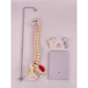45CM - Product Image 4