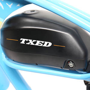TXED 48V 15Ah Motor de buje trasero de estilo europeo Beach Cruiser E-Bike 250W potencia sin escobillas con batería de litio motocicleta eléctrica - Product Image 6