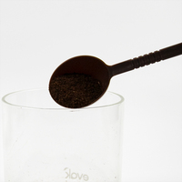 Offre Spéciale – Mini Cuillères Créatives pour Hôtels, Idéales pour Poudre de Fruits, Cuillères Perle, Cuillères à Café en Plastique Noir à Long Manche