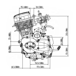Moteur horizontal CQJB <span class=keywords><strong>Lifan</strong></span> 125cc <span class=keywords><strong>Mini</strong></span> Dirt Bike Pocket Bike Engine - Product Image 5