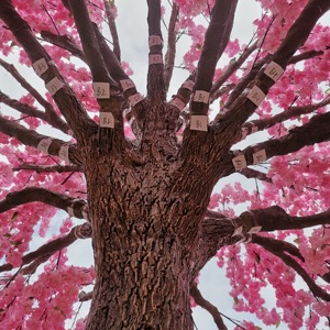 Vendita calda fiore di ciliegio artificiale albero di ramo interno in fibra di vetro di nozze arco albero <span class=keywords><strong>con</strong></span> <span class=keywords><strong>fiori</strong></span> per la progettazione del paesaggio - Product Image 3