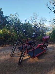 Bicicleta Eléctrica para Caminar, Máquina de Ejercicio Motorizada para Exteriores, Herramienta Innovadora para Caminar y Pedalar al Aire Libre - Product Image 6