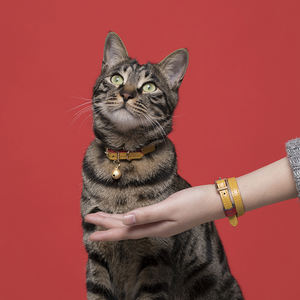 UFBemo Offre Spéciale <span class=keywords><strong>Laisse</strong></span> en cuir PU à motif personnalisé <span class=keywords><strong>Laisse</strong></span> souple et durable <span class=keywords><strong>pour</strong></span> chien - Product Image 1