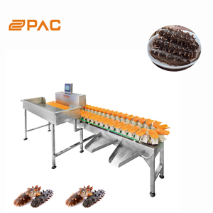 Industrial automática pequena escala frutas classificação máquina nova condição para congelados Sea Food & legumes para processamento de frutas planta - Product Image 4