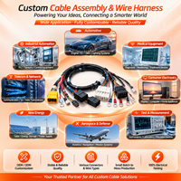 تجميعة أسلاك مخصصة بموصلات JST Molex، تصنيع حسب الطلب (OEM/ODM)، كابلات ZH PH XH GH VH بـ 2 و3 و4 و6 و12 دبوس للإلكترونيات الصناعية والاستهلاكية