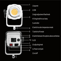 Lampe LED portable bicolore en métal pour photographe professionnel avec CRI élevé, lampe d'enregistrement vidéo 300W