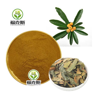 Estratto Secco di Foglie di Loquat Standardizzato con 25% di Acido Ursolico, Polvere Vegetale Naturale di Triterpenoidi per Formulazioni Nutraceutiche - Product Image 1
