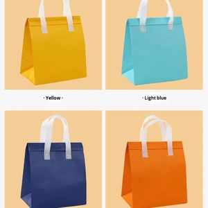 Non-woven Lightweight Fashion Thermal Insulated Takeaway Food Delivery Cooler Bag with Zipper Closure Made in China - Product Image 1