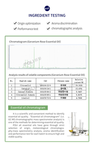 Hot <span class=keywords><strong>Geranium</strong></span> Rose Ätherisches Öl reines Natur öl <span class=keywords><strong>Geranium</strong></span> Parfüm öl Diffusor Massage Körperpflege Rohstoffe Versorgung - Product Image 6
