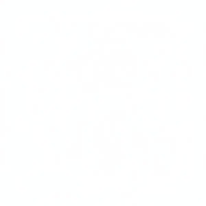 Válvula de Control de Diámetro de Desplazamiento Hidráulico para Excavadora Komatsu PC200-6, Válvula de Alivio, Accesorios Completos Producidos por el Fabricante - Product Image 1