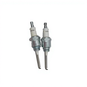 23739 Pièces de chaudière : Électrode d'allumage, Sonde de détection, Prise d'électrode, Détecteur 1081870 pour MAXON STOCK - Product Image 2