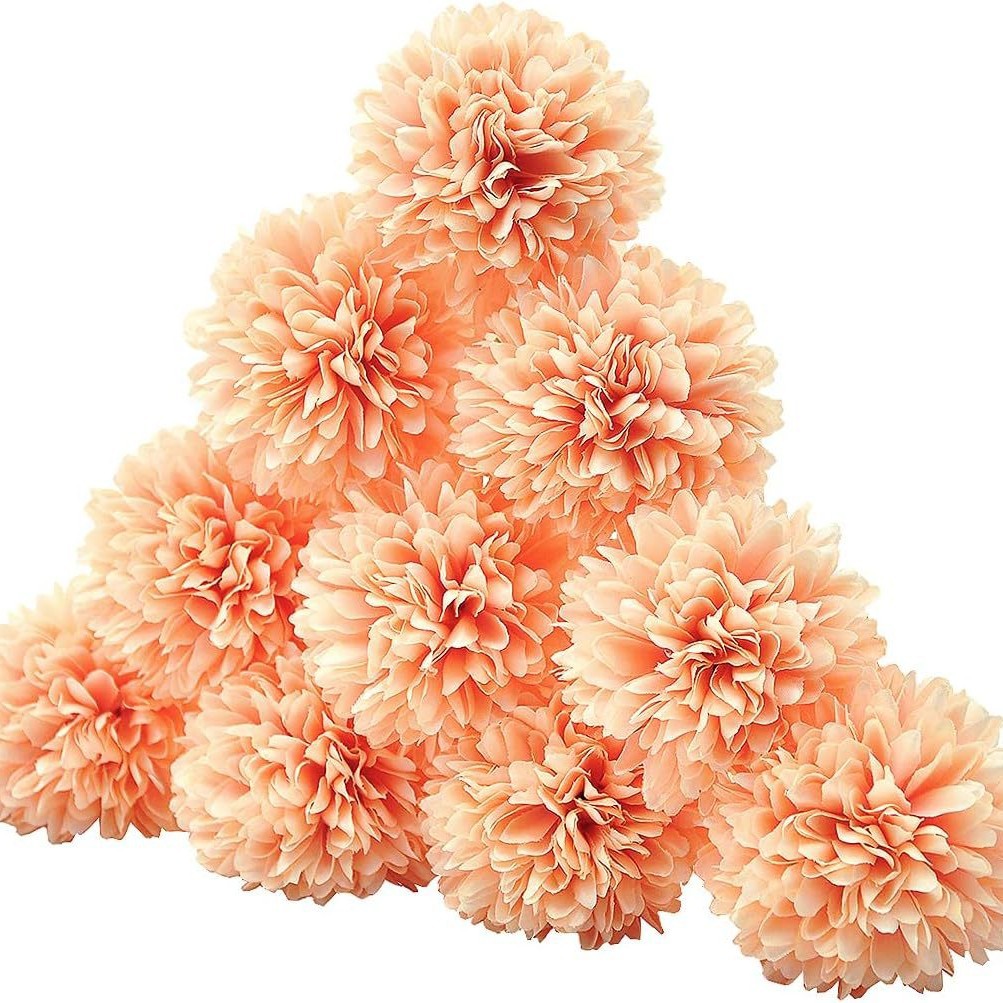 1 grapefruit powder