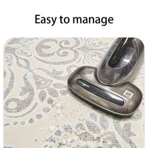 <span class=keywords><strong>Tapis</strong></span> de chambre de luxe léger de haute qualité <span class=keywords><strong>tapis</strong></span> antidérapant épaissi à longue bande pour le salon fabriqué à la machine pour le <span class=keywords><strong>lit</strong></span> avant de la maison - Product Image 5