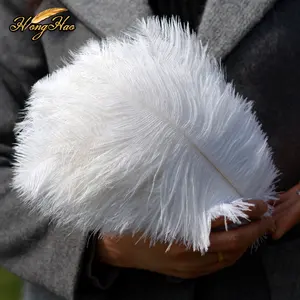 Vente en gros de plumes d'autruche blanches pour accessoires de mariage Panache décoratif bon marché Grandes ailes de plumes d'autruche Carnaval