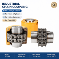 Accouplement de chaîne à rouleaux en acier rigide SFS Mining Special KC, personnalisable OEM, haute productivité pour les États-Unis et les imprimeries