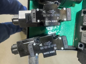 โซลินอยด์ไฮดรอลิก 12V 24V DSG DSG-01 DSG-03 DSG-01-3C9-D24-50360 DSG-03-2B3-D24 - Product Image 5
