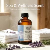 Diffuseur de parfum commercial à base d'huiles essentielles, senteur riche multicouche, notes florales fruitées fraîches, boisées épicées et musquées, pour chemises blanches