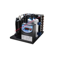 Unité de réfrigération monobloc refroidie par air, mini unité de condensation pour réfrigérateur et congélateur Micro unité de réfrigération 12V 24v R134a