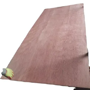 Commercial Plywood Poplar Core For Indoor 4x8 Two Times Hot Pressing Bintangor Plywood