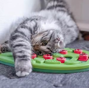 Vente en gros Mangeoire automatique de haute qualité pour animaux de compagnie Jouet pour chien qui fuit Jouet de formation pour chat Casse-tête Intelligence Jouet pour garder l'animal occupé - Product Image 3