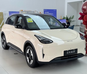 Geely Star Wish EX2 EV Auto Elettrica Nuovi Veicoli Pronti all'Uso con Ruota di Scorta e Attrezzi Inclusi Supporto Post-Vendita Online Rapido - Product Image 3