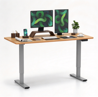 Bureau debout électrique avec plateau en bois grainé, cadre gris, poste de travail réglable en hauteur pour bureau à domicile, bureau d'ordinateur