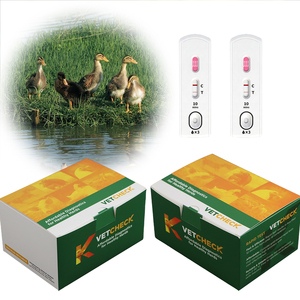 Kit de <span class=keywords><strong>test</strong></span> rapide pour les maladies vétérinaires aviaires, kits de diagnostic pour les maladies aviaires - Product Image 6