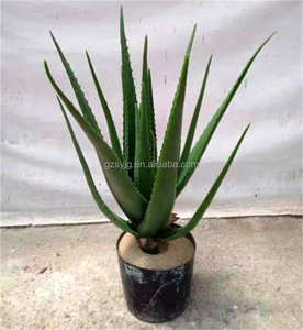 Venta al por mayor <span class=keywords><strong>de</strong></span> Aloe <span class=keywords><strong>Vera</strong></span> Artificial planta en maceta hecha a mano verde falso bonsái interior hogar Oficina escritorio decoración planta - Product Image 2