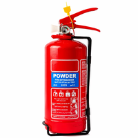 Extincteur à poudre sèche ABC avec manomètre, portable, en acier inoxydable, certifié EN3, pour la maison, le bureau, le véhicule