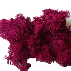 HFlora Factory Direct Online Shopping Diwali Decoration Red Irish Preserved <strong>Moss</strong> Pure Natural Softness Enternal <strong>Moss</strong> - Product Image 1