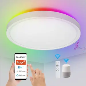 Smart Indoor Home Light 24W Licht Plafond Wifi Tuya App Voice Control Multi Color Decoratie 12Inch 300Mm Led Plafondlamp
