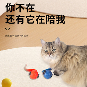 <b>Smart</b> Rolling Cat <b>Ball</b> Automatic Interactive Toy For Cats Blue Orange Plastic 40g - Product Image 3