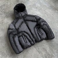 Vestes matelassées d'hiver pour hommes en nylon brillant avec capuche amovible, personnalisables en couleur et avec logo, vente en gros