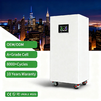 Batterie de stockage d'énergie Lifepo4 de type solaire 15 kWh, sortie stable pour système solaire hybride domestique
