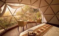 Dôme géodésique transparent en PVC imperméable pour glamping, mariages, expositions, événements extérieurs et camping