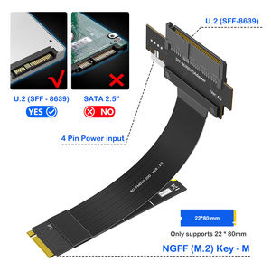 U.<span class=keywords><strong>2</strong></span> SFF-8639 M.<span class=keywords><strong>2</strong></span> Sleutel-M Adapter Riser Kabel 4pin Stroomondersteuning Compatibel 22*80Mm M.<span class=keywords><strong>2</strong></span> Nvme 4.0 Product Adapters Connectoren - Product Image 2