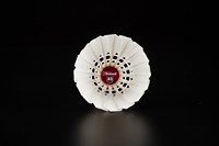 Ancien prix pour volants de Badminton blanc, professionnel, solide, anti-chute, ratio de 76/77/78