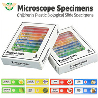 8pcs/Set Kids Plastic Prepared Microscope Slides Biological Animals Specimen Plants Insects Flowers Sample Accessories