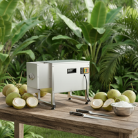 Machine électrique pour broyer la chair de noix de coco, broyeur de noix de coco haute capacité pour la production de noix de coco râpée