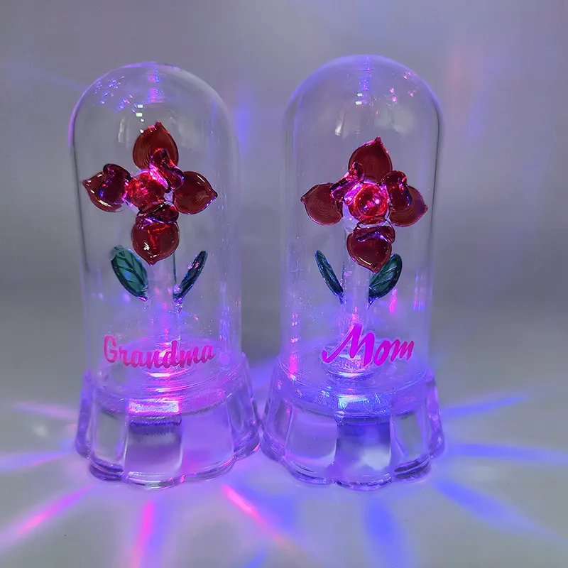 Venda quente presente de dia dos namorados rosa cúpula de vidro flor seca feminino LED rosa presente