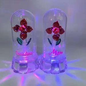 뜨거운 판매 발렌타인 데이 선물 장미 유리 돔 말린 꽃 여성 LED 장미 선물