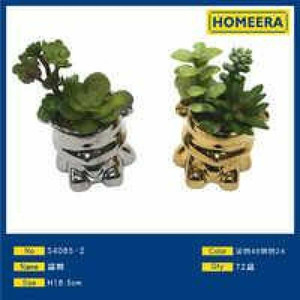 All'ingrosso Mini fioriere in oro e argento 72 pezzi Per scatola misto vasi succulenti Per decorazioni Per la casa all'aperto 5 e 10 galloni taglie - Product Image 1
